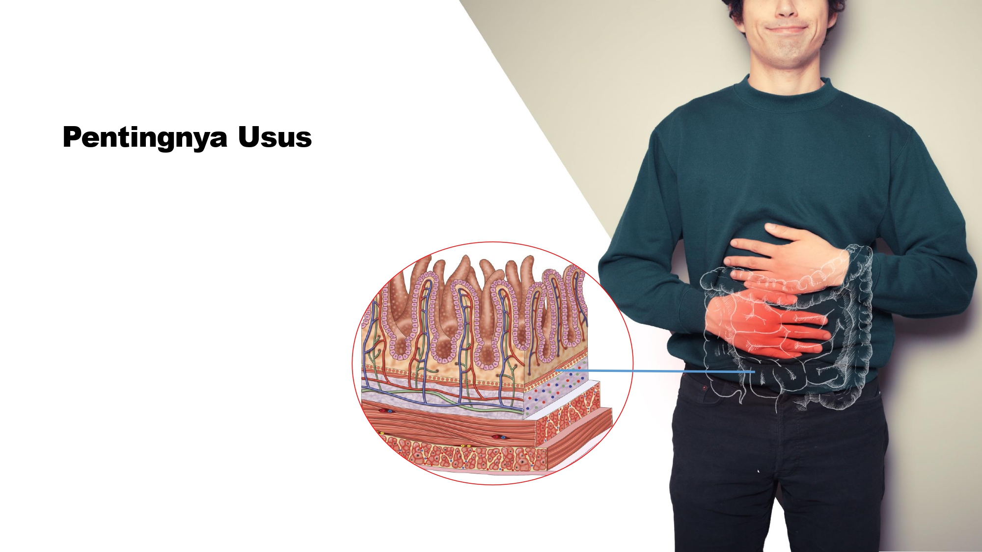 Education content image